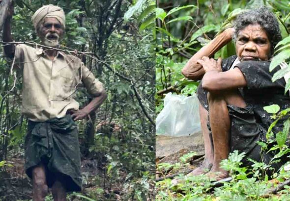 kerala-tribal-couple-life.jpg