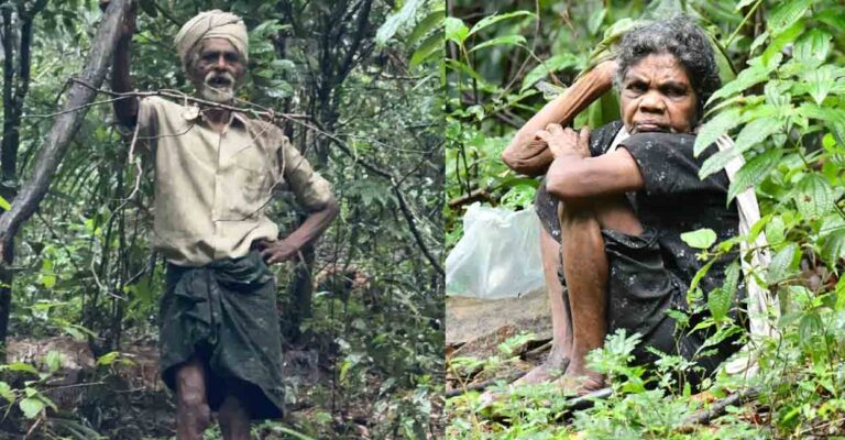 kerala-tribal-couple-life.jpg