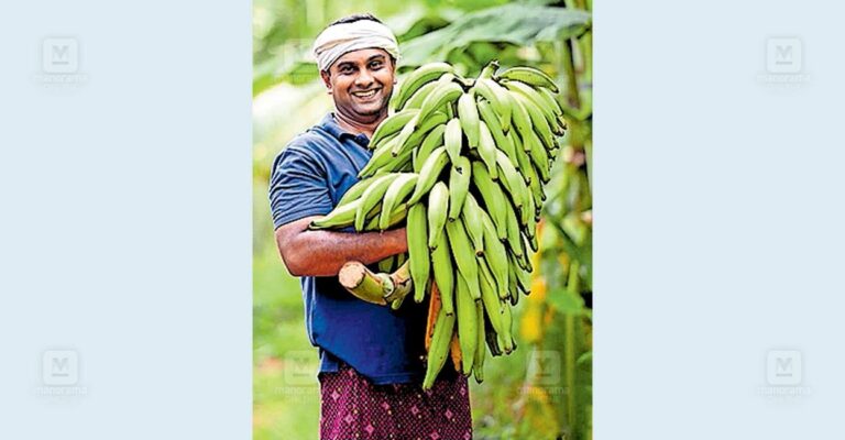 kochi-monu-vargheese.jpg