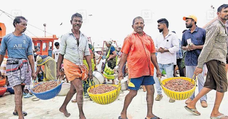 kollam-fish.jpg