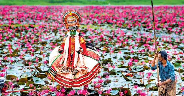 kottayam-flower-1.jpg