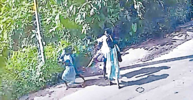 kozhikode-koodaranji-lady-attaked-case.jpg
