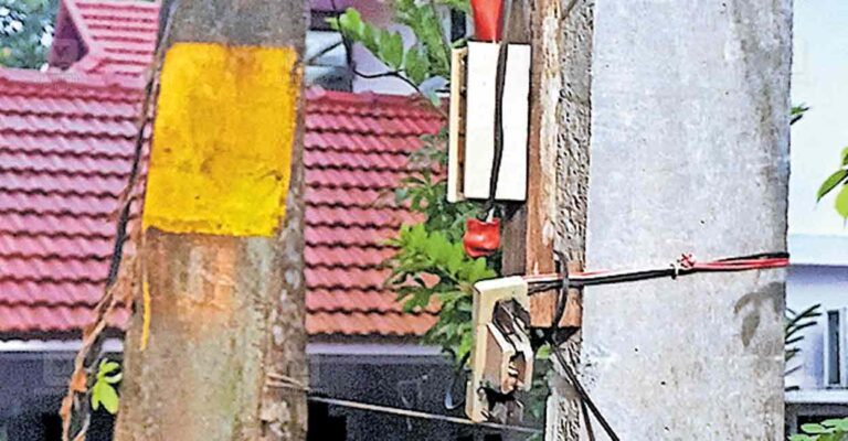 kumarakom-fuse.jpg