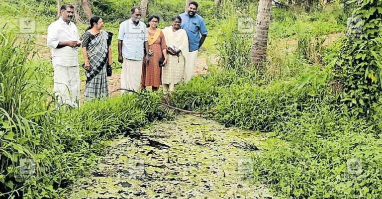 mannar-anganvadi-land.jpg