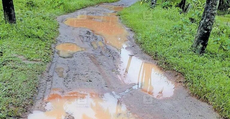 navayikulam-panchayath-road.jpg
