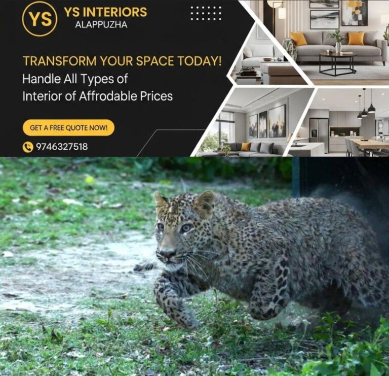 newskerala.net_1754018636_w-1280h-720format-jpgimgid-01jyjfw2hbhzv348nbreyntcxsimgname-leopard-attack-lakhimpur-1750819801