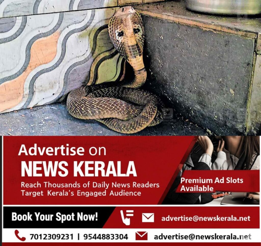 newskerala.net_1754023319_cobra-snake