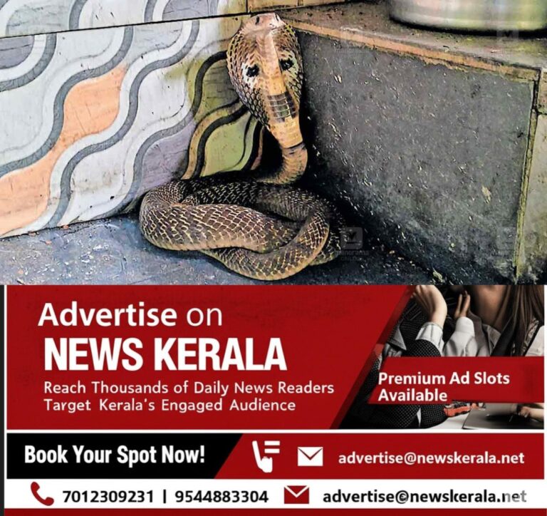 newskerala.net_1754023319_cobra-snake