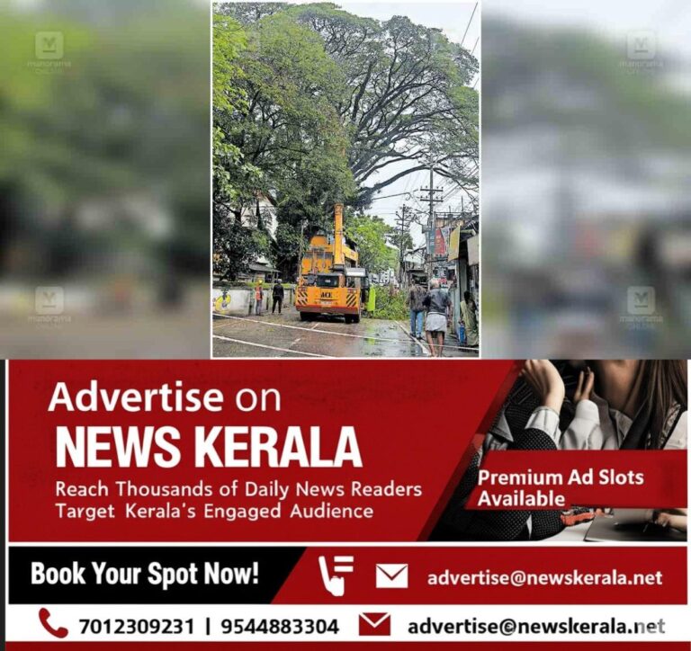 newskerala.net_1754025982_ernakulam-tree-branches-cutting-down