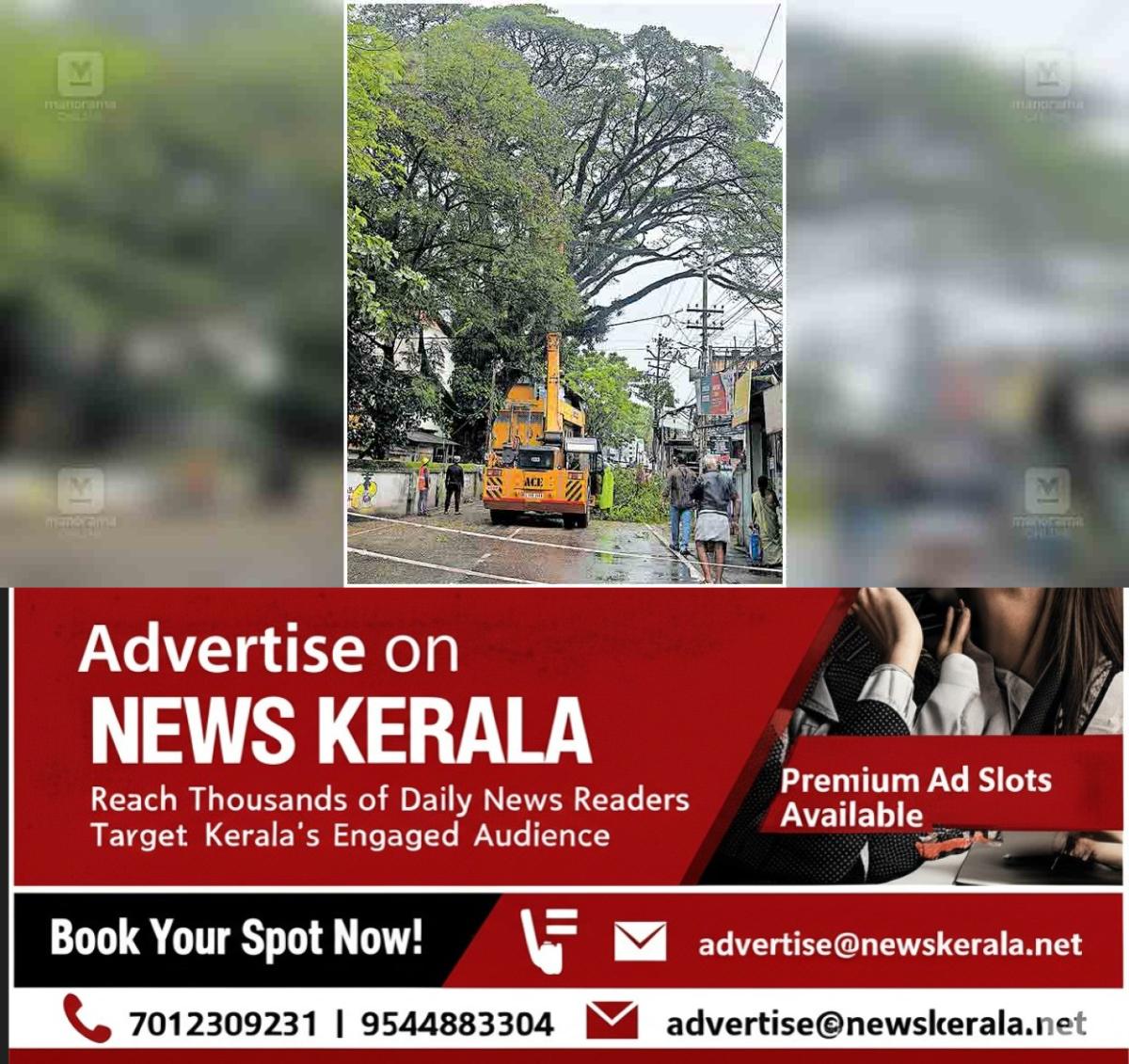 newskerala.net_1754025982_ernakulam-tree-branches-cutting-down