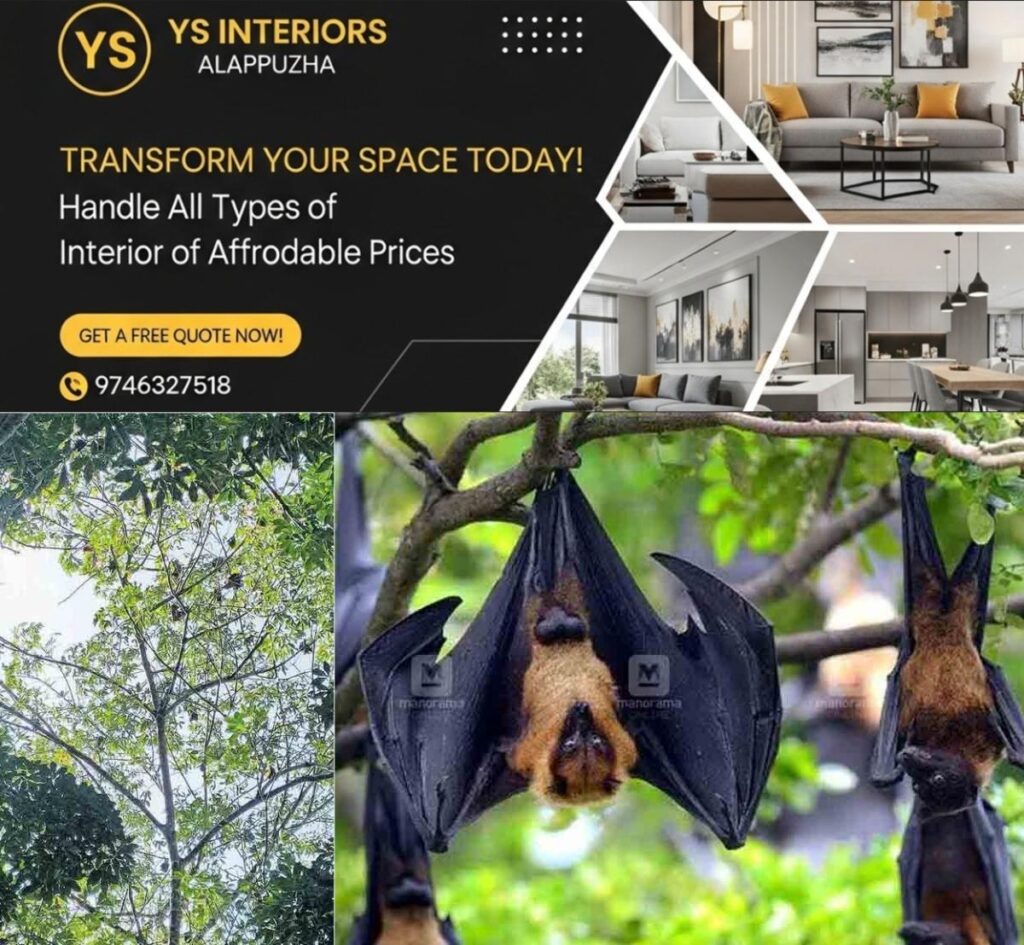 newskerala.net_1754107621_bat-tree-issue