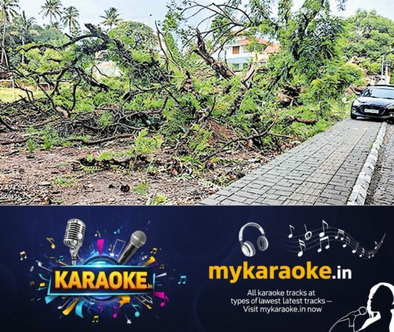 newskerala.net_1754108223_fort-kochi-tree-issue