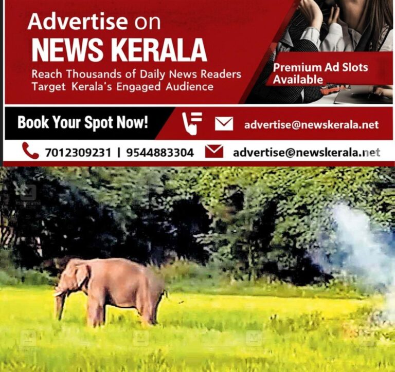 newskerala.net_1754108355_palakkad-elephant