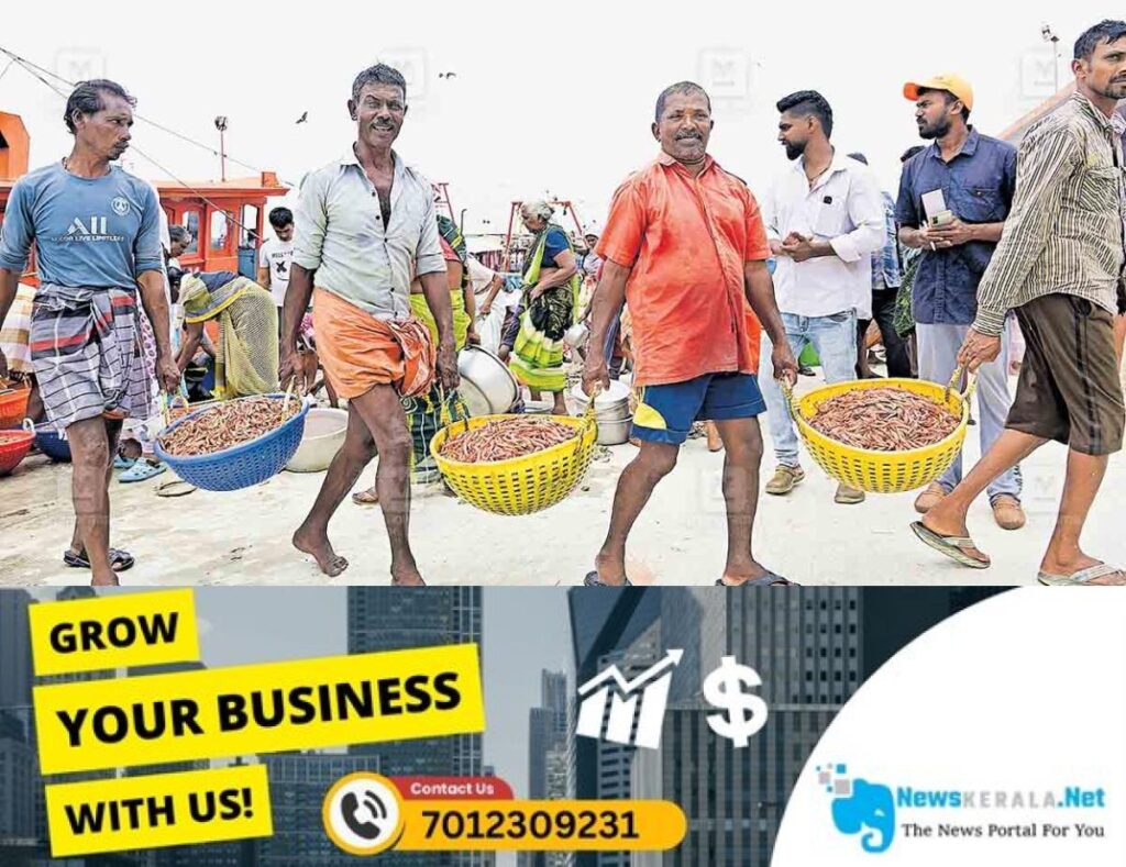 newskerala.net_1754109328_kollam-fish
