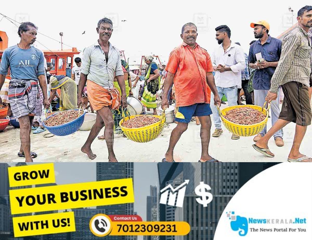 newskerala.net_1754109328_kollam-fish