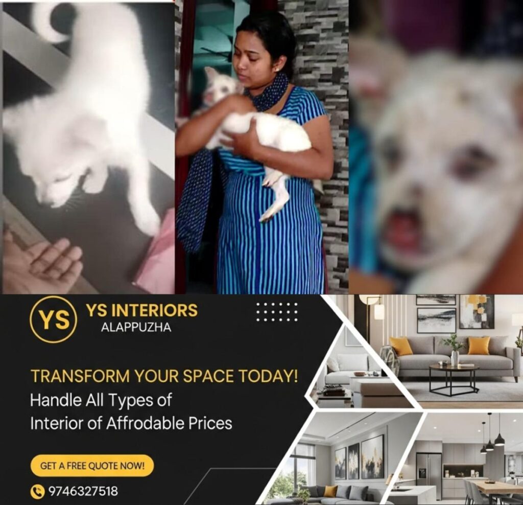 newskerala.net_1754187229_w-1280h-720format-jpgimgid-01k00vrtfsveh6vm10bds45pfrimgname-pet-dog-attacked-1752375781881