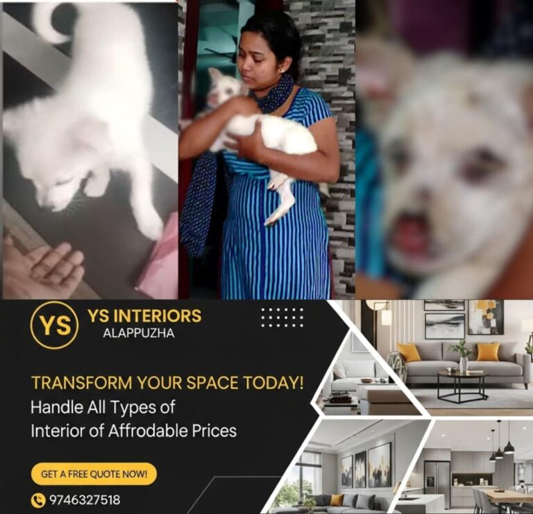 newskerala.net_1754187229_w-1280h-720format-jpgimgid-01k00vrtfsveh6vm10bds45pfrimgname-pet-dog-attacked-1752375781881