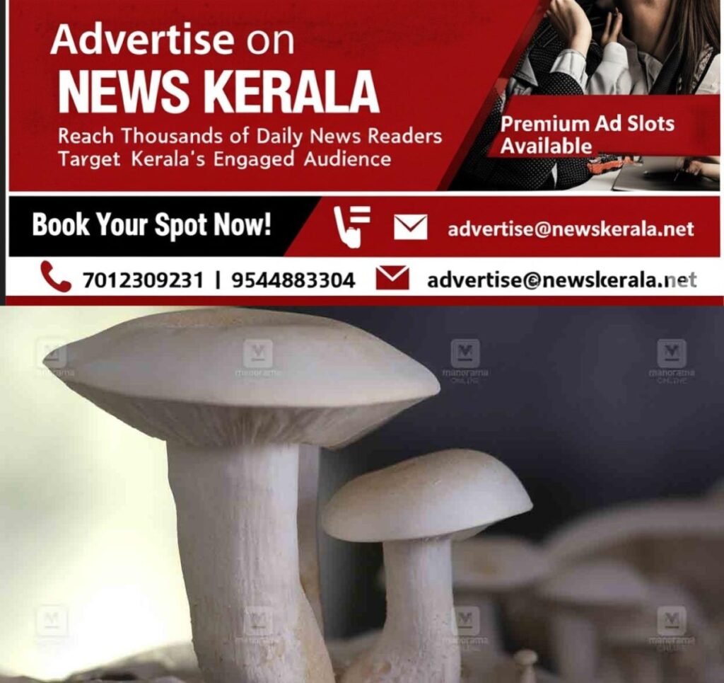 newskerala.net_1754191337_pathanamthitta-mushroom
