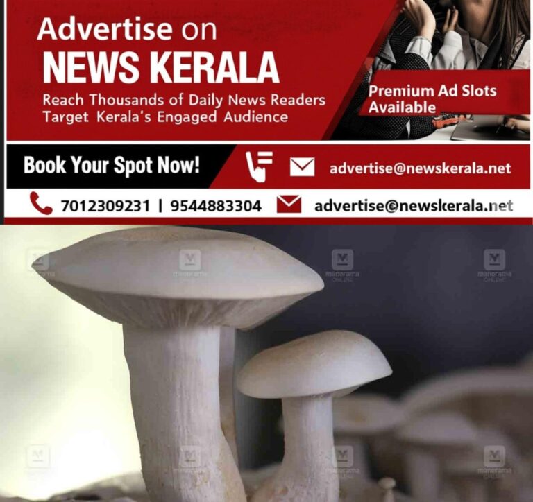 newskerala.net_1754191337_pathanamthitta-mushroom