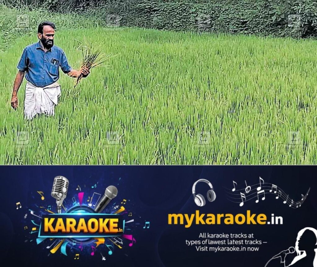 newskerala.net_1754209923_olappazhuppu-mannur-njarakkod-paadi-field