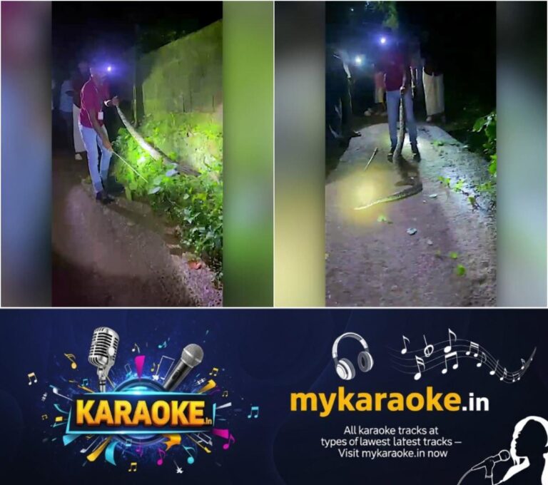 newskerala.net_1754283050_w-1280h-720format-jpgimgid-01k1sndy9e6j95jjk1n3q3cwm6imgname-fotojet-55-1754281736494