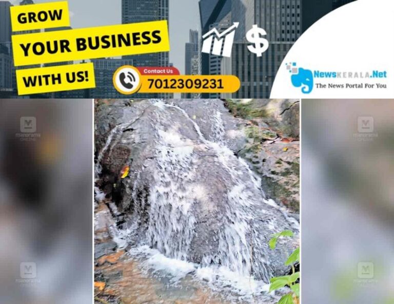 newskerala.net_1754285084_perumbhally-waterfalls-