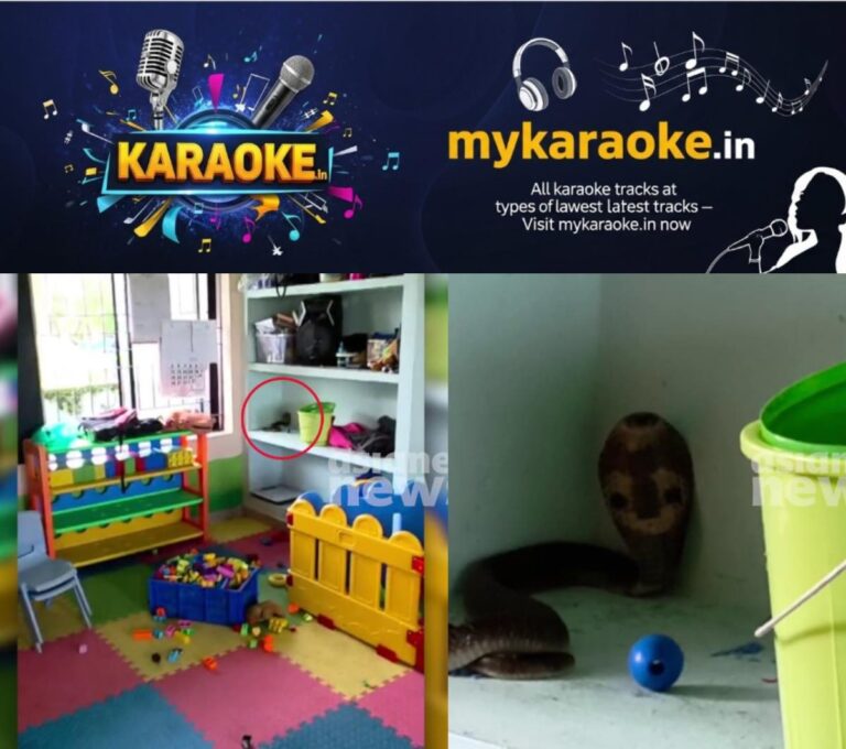 newskerala.net_1754309715_w-1280h-720format-jpgimgid-01k1tf98424mpk35ymz31evjc7imgname-cobra-snake-1754308845698