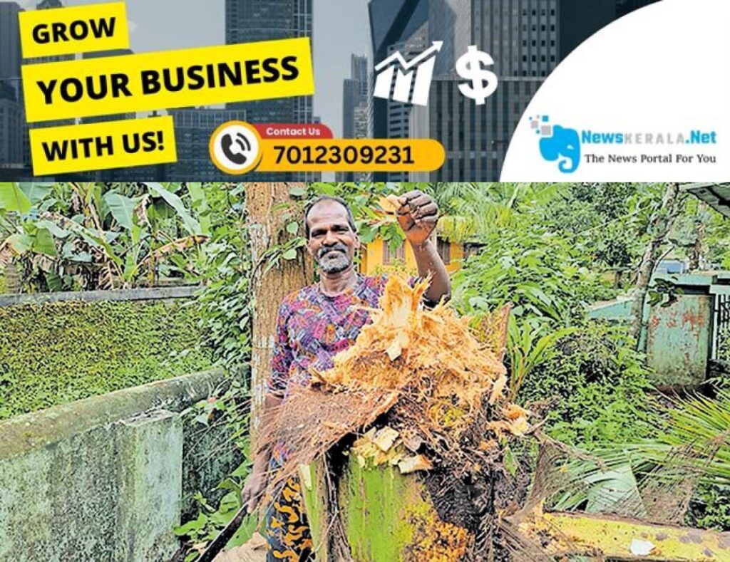 newskerala.net_1754310337_coconut-disease