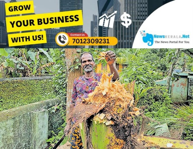 newskerala.net_1754310337_coconut-disease