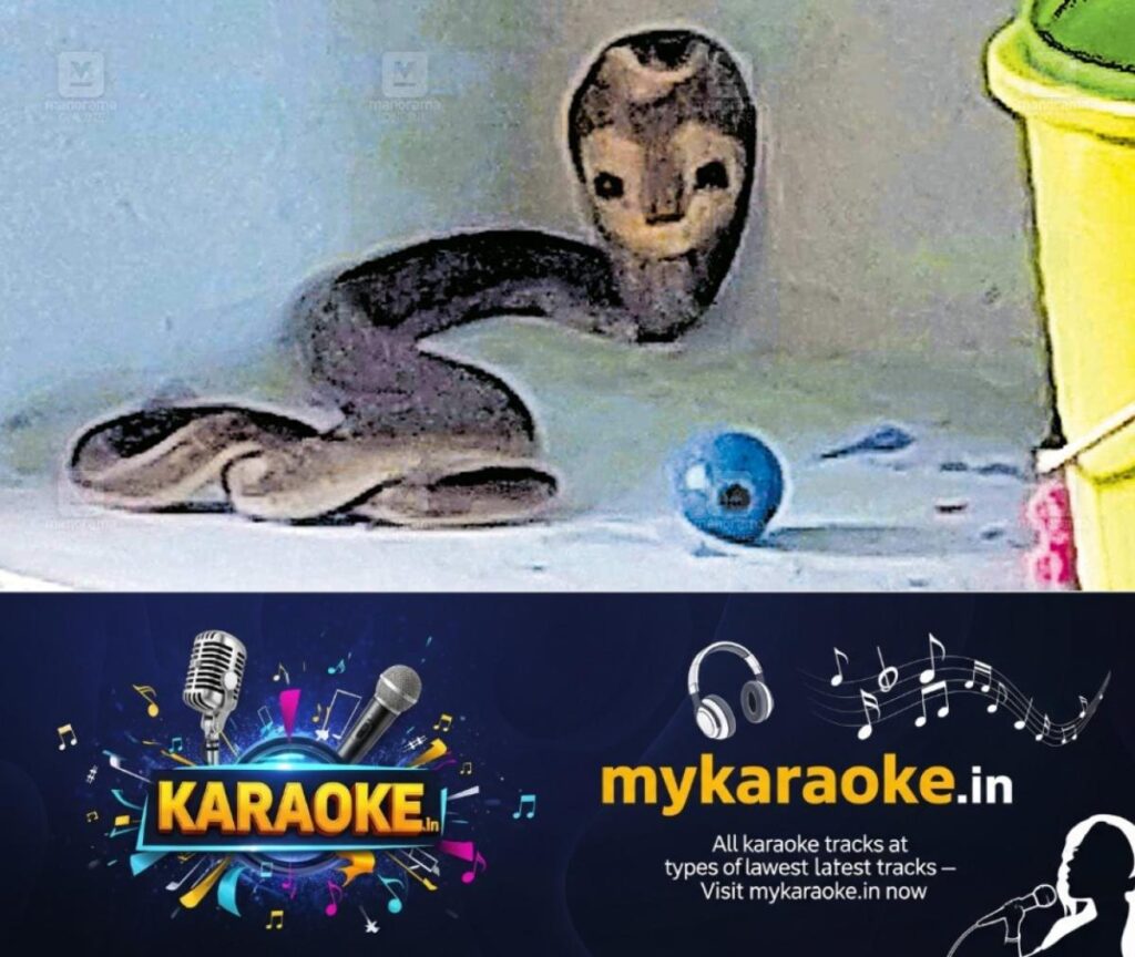 newskerala.net_1754365954_alangad-snake