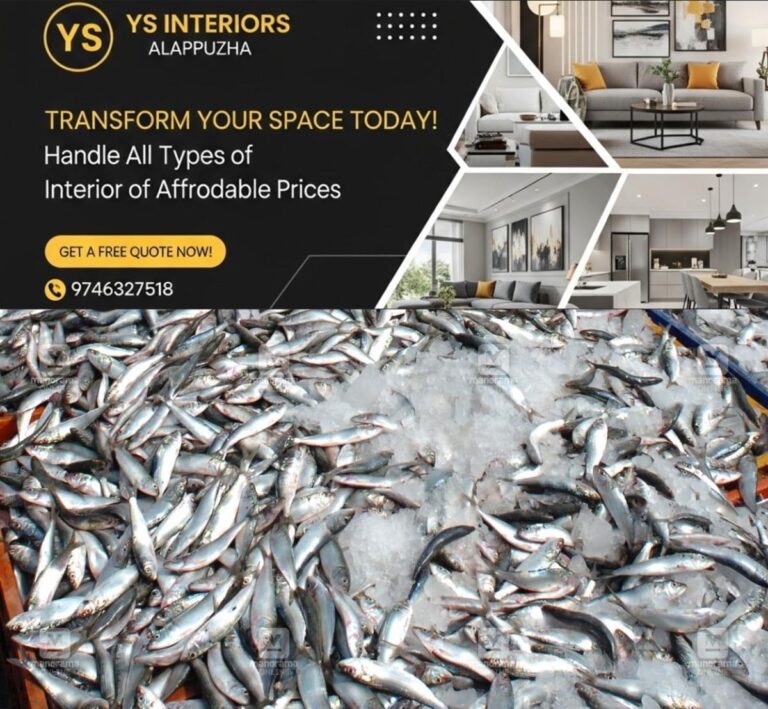 newskerala.net_1754447098_sardine-fish-1