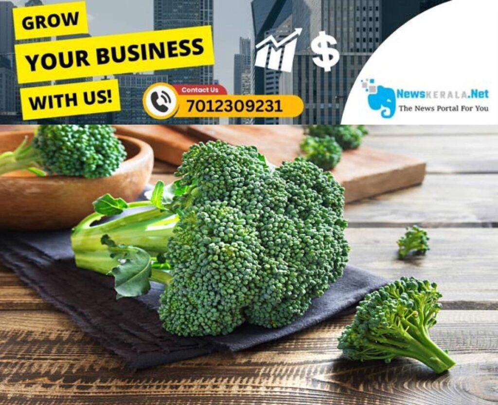 newskerala.net_1754455295_w-1280h-720format-jpgimgid-01jwtspy8ksr304ty12thrsa08imgname-broccoli-3-1-1748951070995