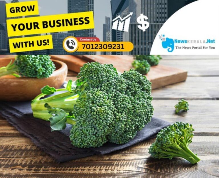 newskerala.net_1754455295_w-1280h-720format-jpgimgid-01jwtspy8ksr304ty12thrsa08imgname-broccoli-3-1-1748951070995