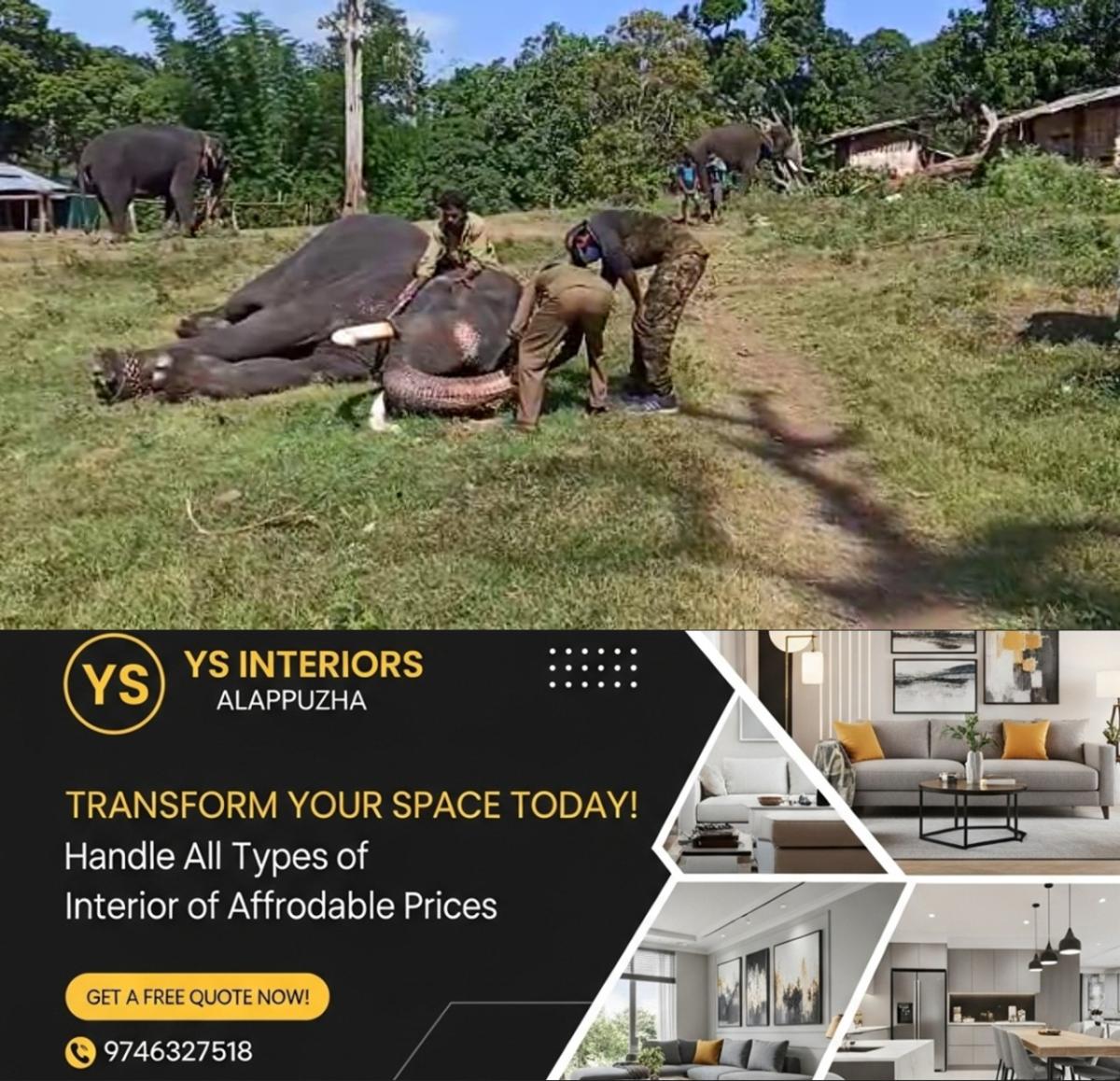 newskerala.net_1754458261_w-1280h-720format-jpgimgid-01k1x6jk7wadjv0w0qyd9dbbs5imgname-elephant-covid-test-at-muthumala-2