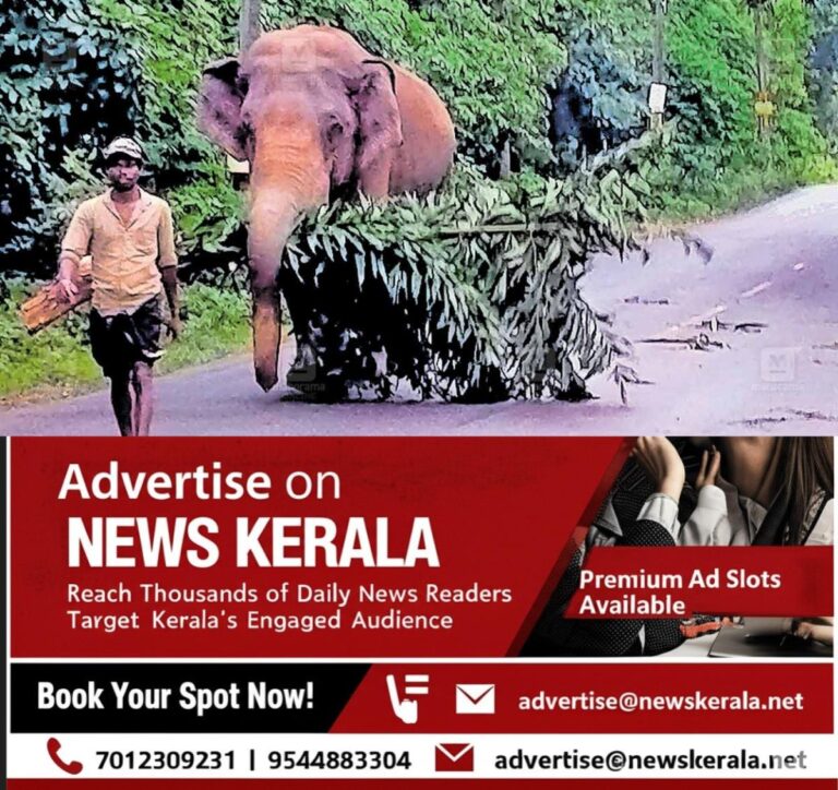 newskerala.net_1754462075_wild-elephant