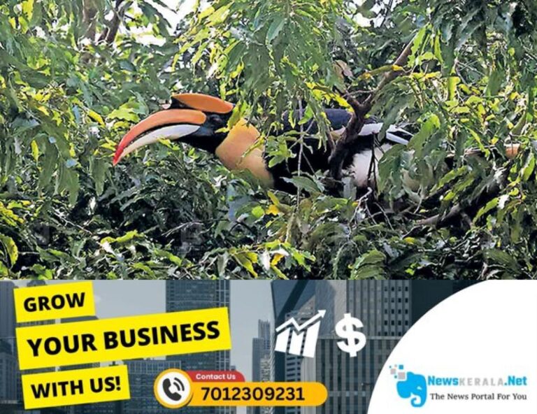 newskerala.net_1754533827_thrissur-bird