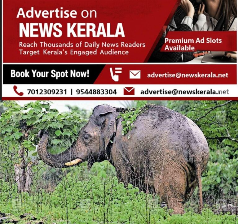 newskerala.net_1754533894_pt5-tusker
