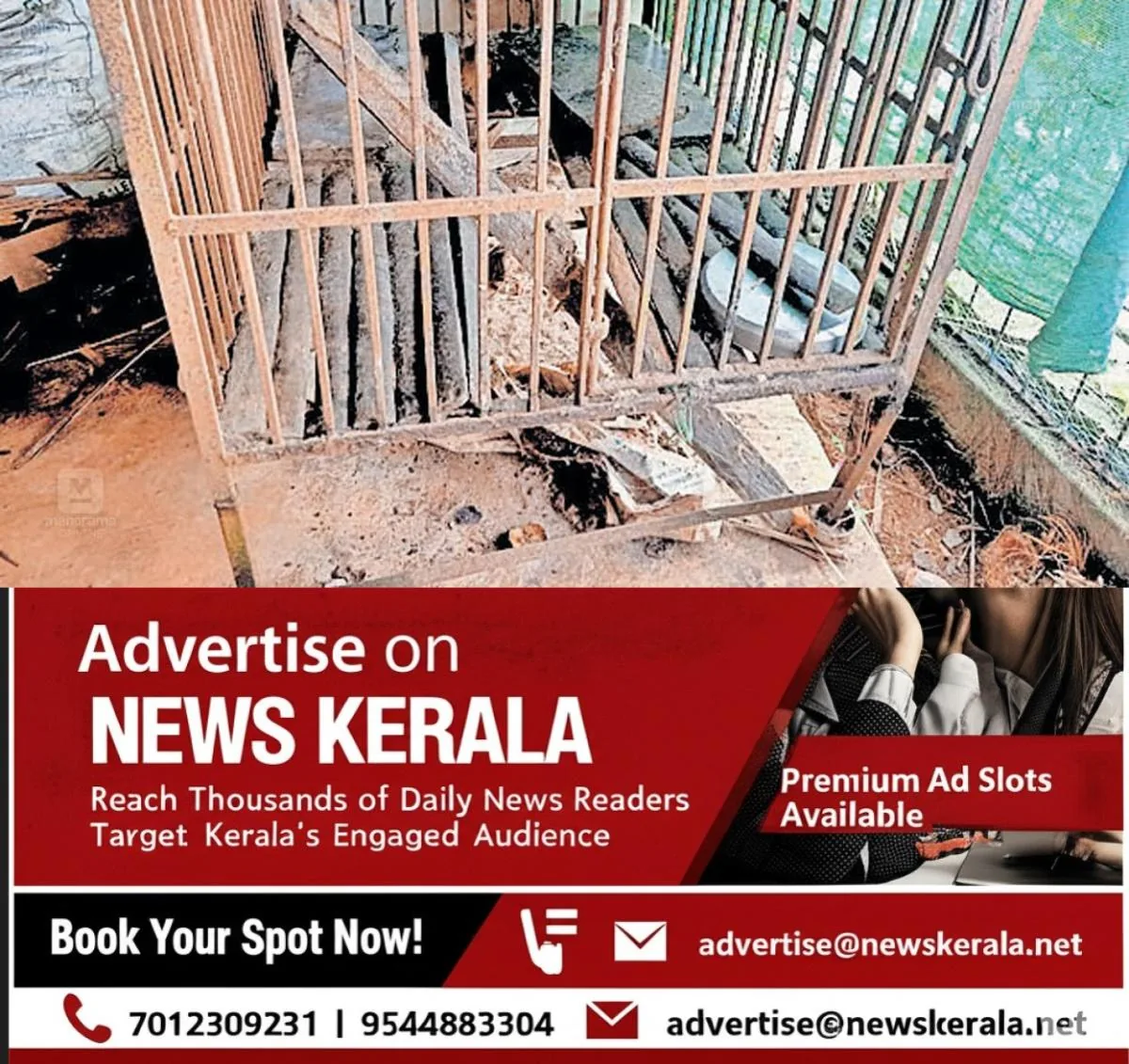 newskerala.net_1754540124_leopard-attack-iriyanni-1
