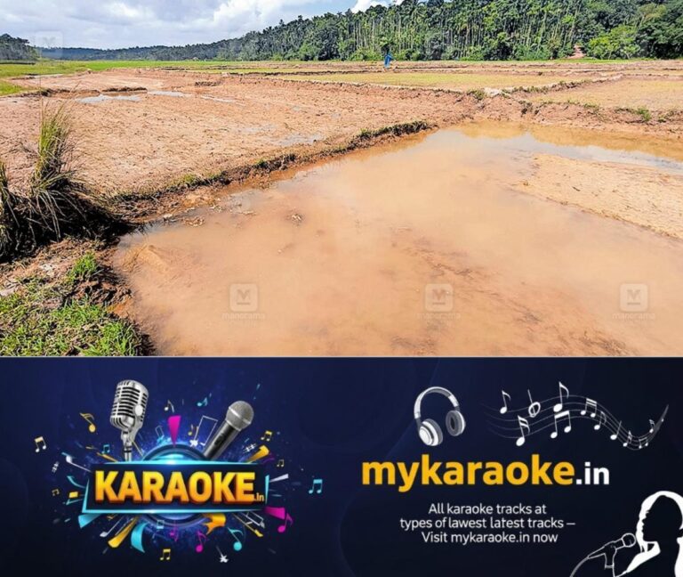 newskerala.net_1754547257_wayanad-rain-agricultural-loss