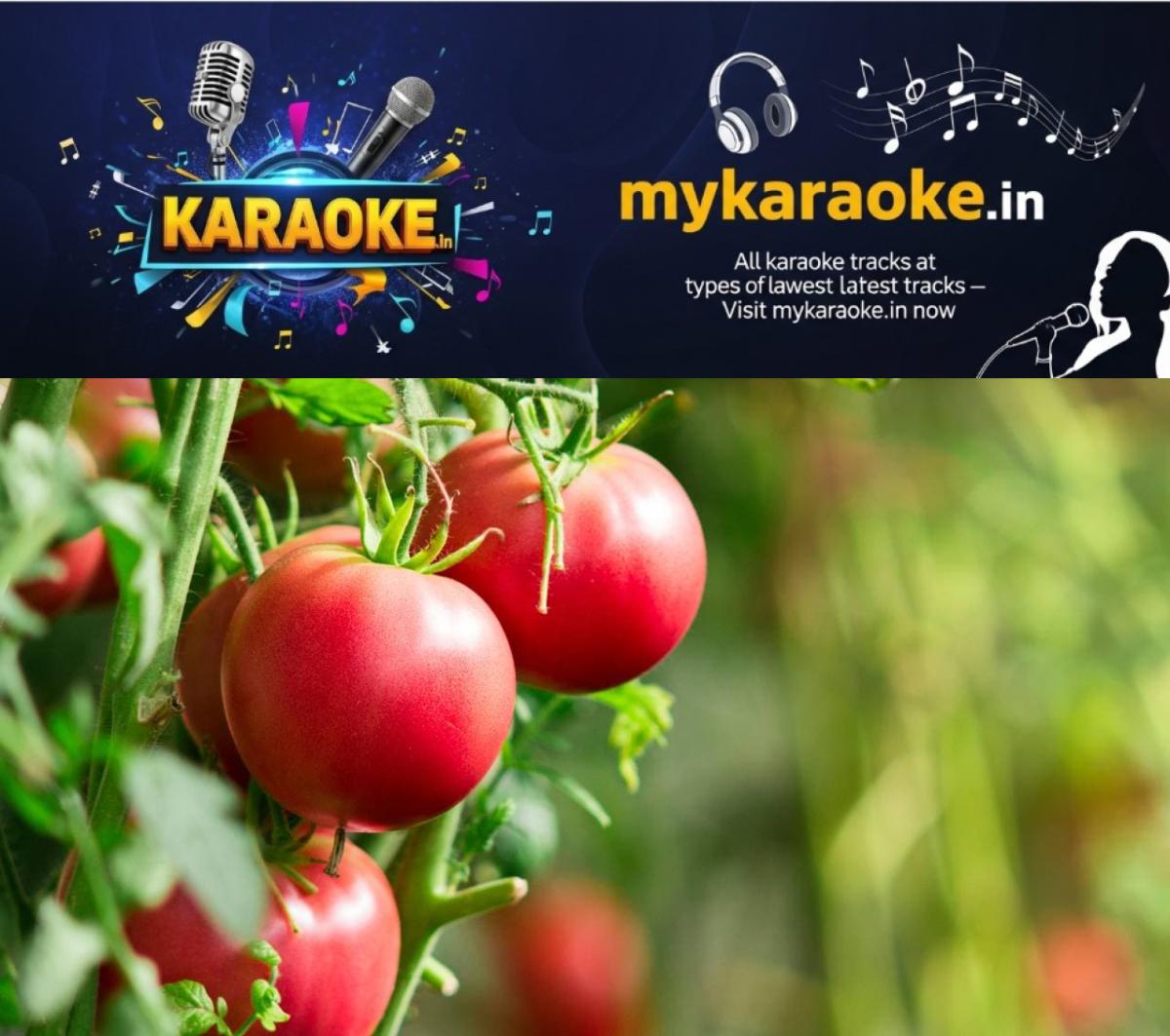 newskerala.net_1754586308_w-1280h-720format-jpgimgid-01k22nw74zfk5f56gvrhrgazcrimgname-new-project-28-1754584194207
