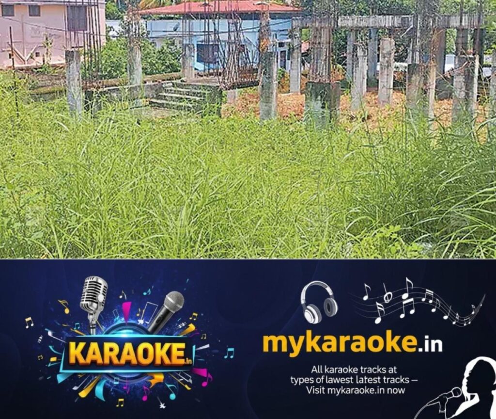 newskerala.net_1754598123_cheruniyur-vegitation