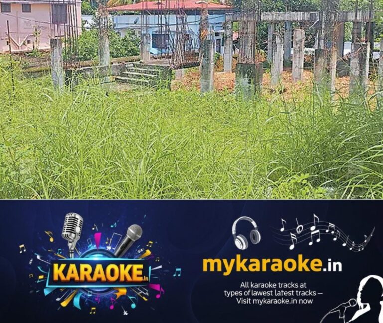 newskerala.net_1754598123_cheruniyur-vegitation