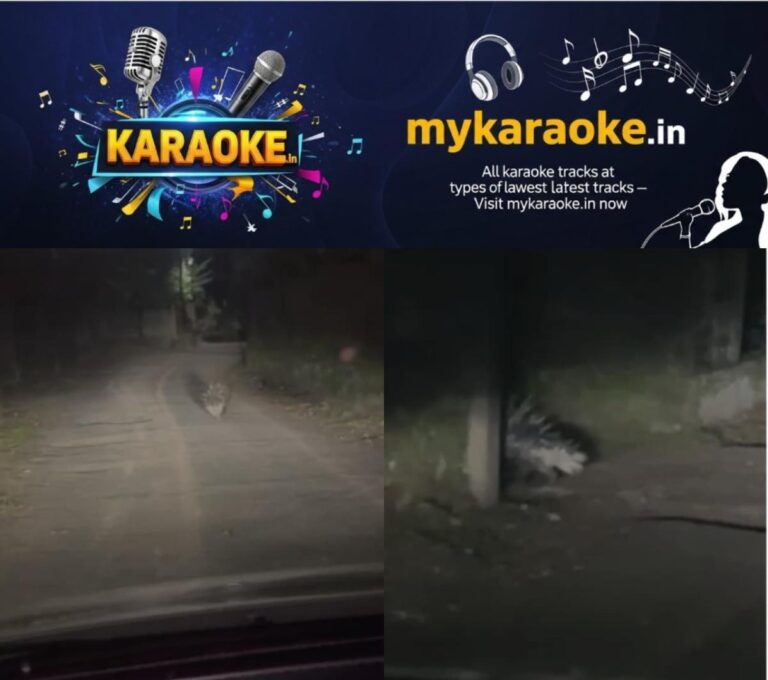 newskerala.net_1754600713_w-1280h-720format-jpgimgid-01k22qc7kf6xgzgz793s3tk5ghimgname-hedgehogs-spread-terror-in-thiruval
