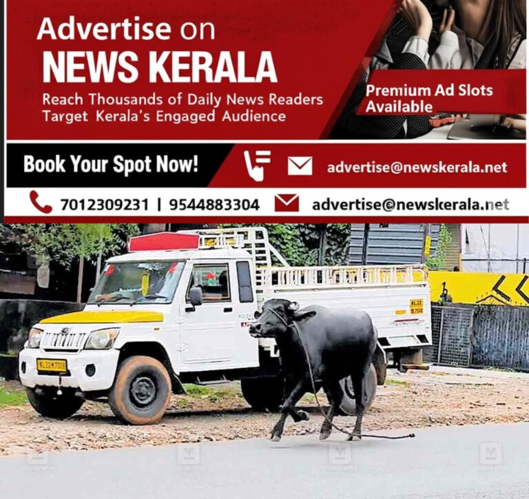 newskerala.net_1754601582_vaniyumkulam-bufflo-1