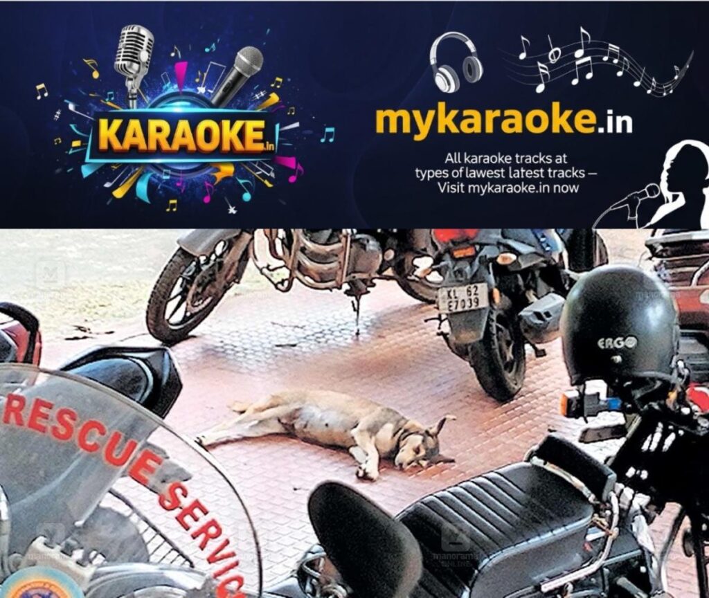 newskerala.net_1754622614_ranni-civil-station-stray-dogs
