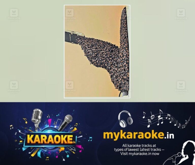 newskerala.net_1754624430_beehive-panamaram-1