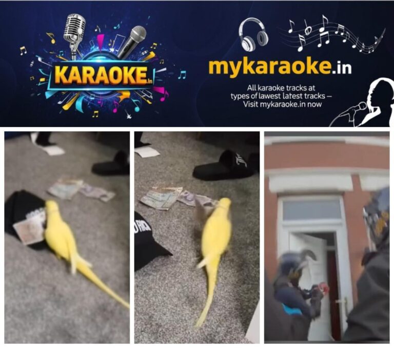 newskerala.net_1754627696_w-1280h-720format-jpgimgid-01k23y9q9qtwrw5nqge5mjndraimgname-drug-gang-that-used-a-parrot-named