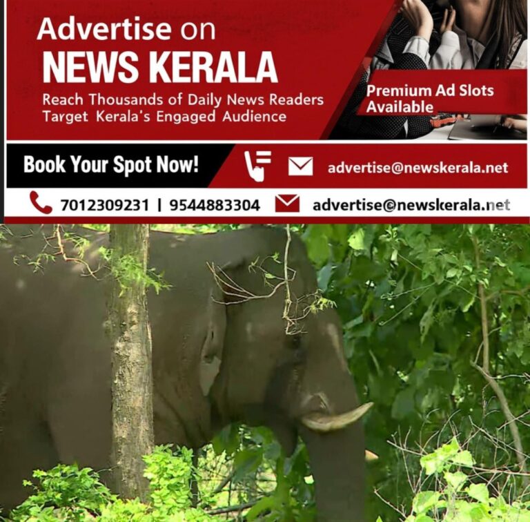 newskerala.net_1754634898_w-1280h-720format-jpgimgid-01k23n6fetgkhr16m7ckkt4kdrimgname-fotojet-67-1754617036250