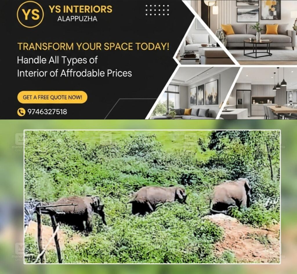 newskerala.net_1754648339_wild-elephant-attacks-marayoor