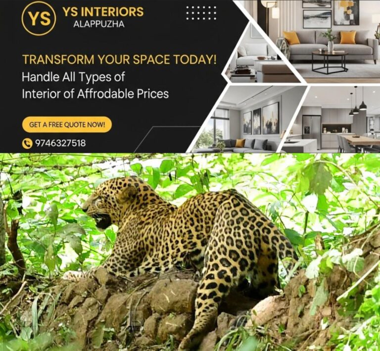 newskerala.net_1754715164_leopard-local-news